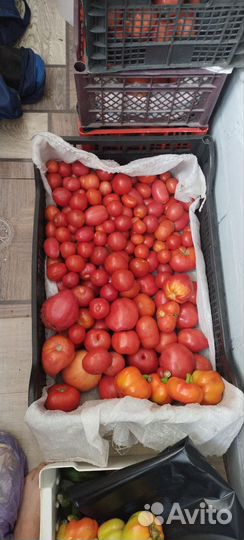 Помидоры,тыква,кабачки,соленья