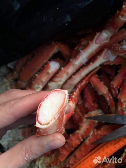 Камчатский краб (фаланги и очищеное мясо )