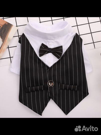 Костюм для собак