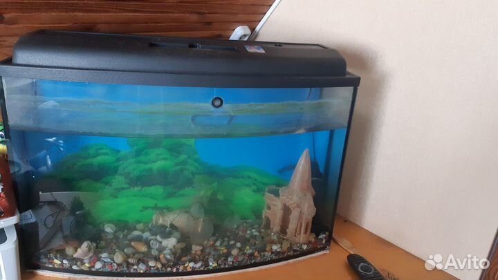 Аквариум на 120 литров