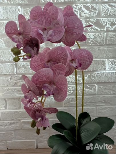 Орхидея дендробиум искусственная копия