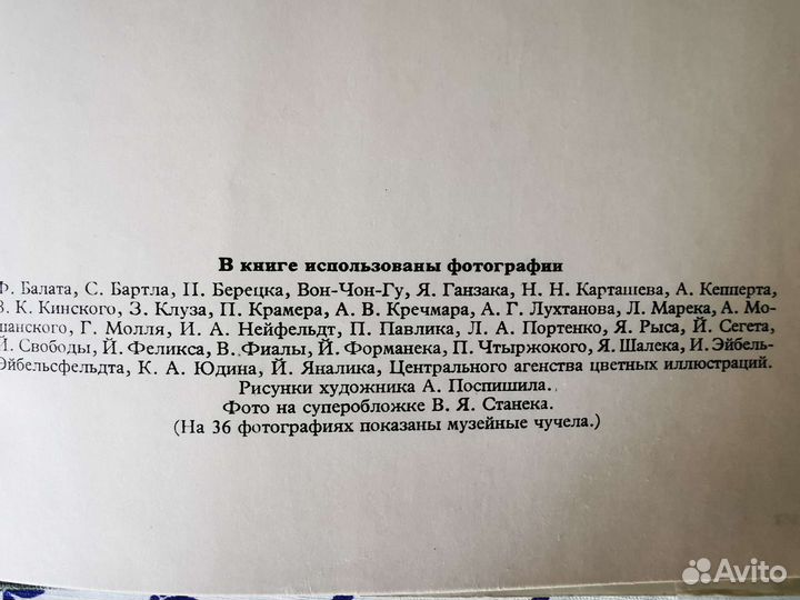 Энциклопедия птиц