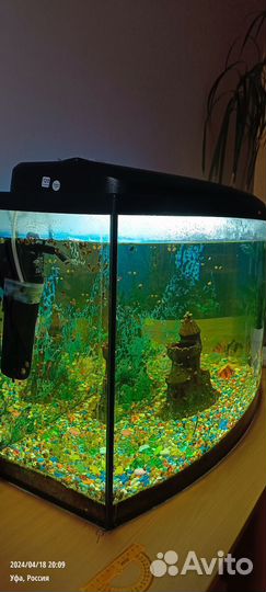 Аквариум с рыбками бу