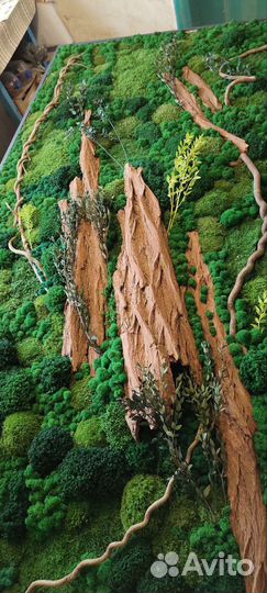 Панно из стабилизированного мха