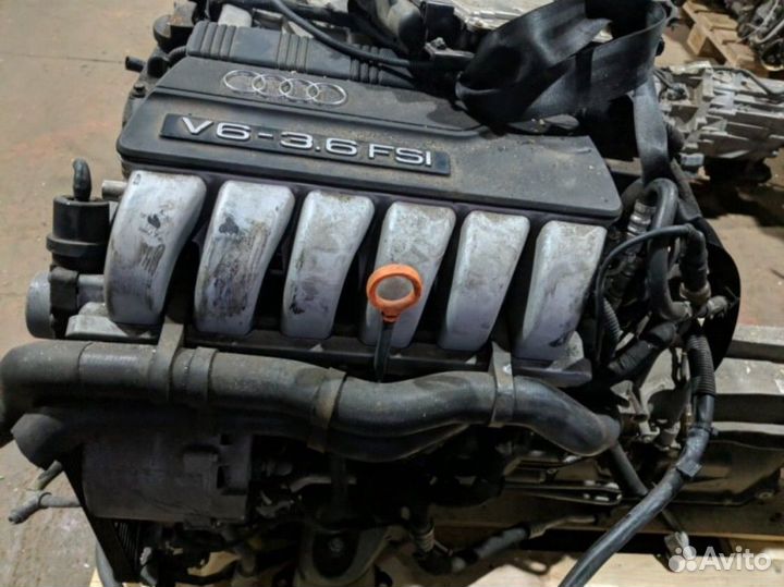 Двигатель двс 3.6 bhk Volkswagen Touareg Туарег