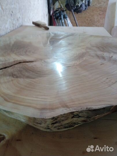 Спил капа березы