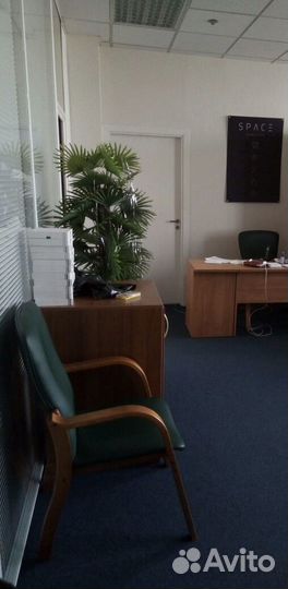 Стул, массив бука