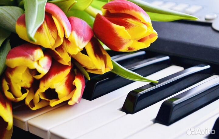 Уроки фортепиано, сольфеджио (очно/онлайн)