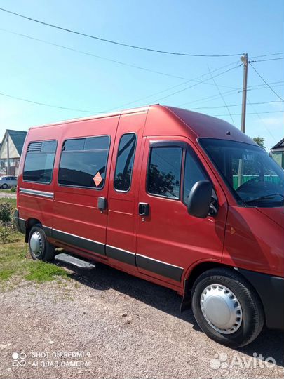 Пассажирские перевозки микроавтобус