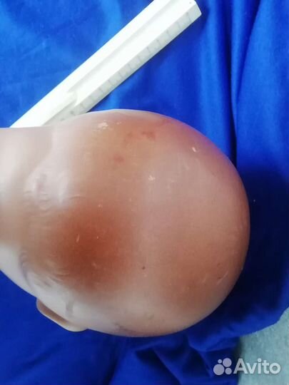 Голова куклы Германия.Соннеберг Sonneberger