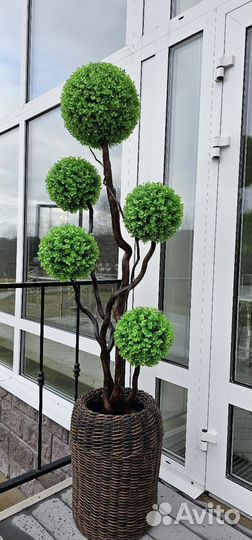 Искусственный самшит