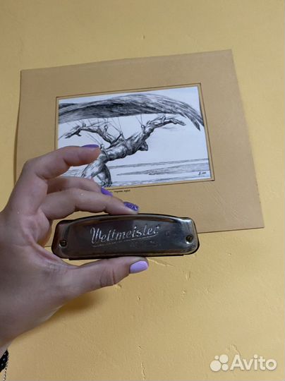 Антикварная губная гармошка weltmeister vermona