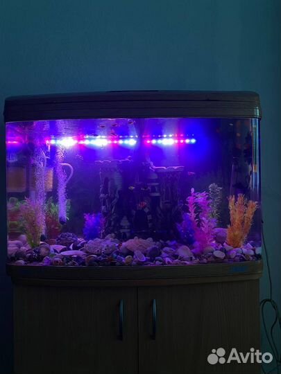 Аквариум с тумбой под ключ