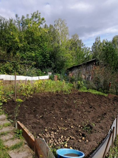 Участок 6 сот. (СНТ, ДНП)