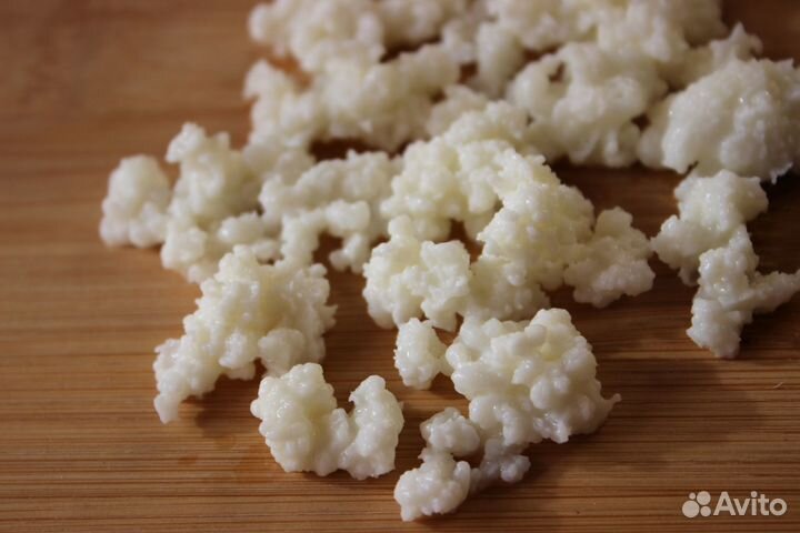 Кефирный (тибетский, молочный) гриб