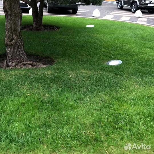 Рулонный газон