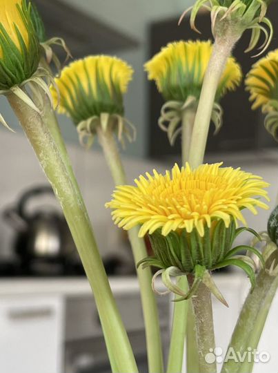 Цветы, подарок, ручная работа