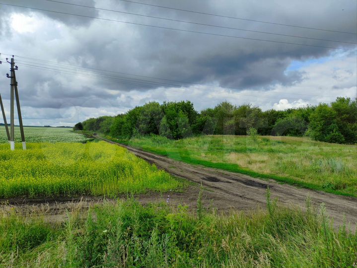 Участок 13 га (промназначения)