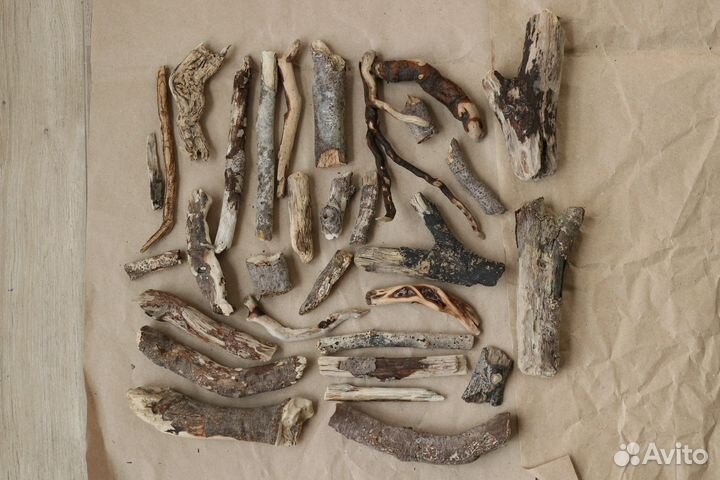 Палки деревяшки коряги для творчества дрифтвуд