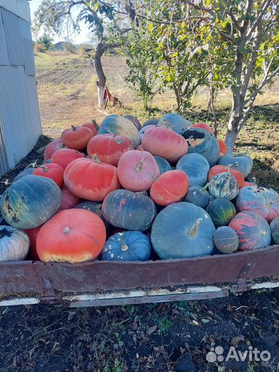 Стиральная машина samsung