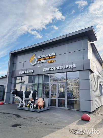 Корма для с/х животных, кормо-и зерносмеси, зерно