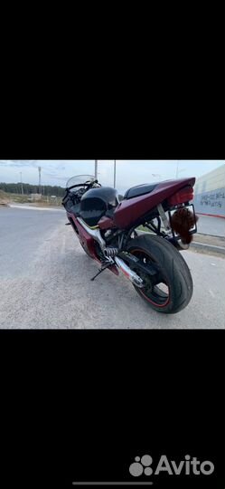 Honda cbr600f4i usa