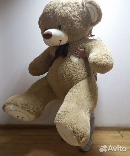 Медведь большой новый