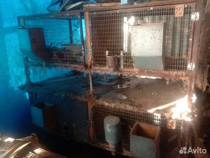 Клетка для грызунов