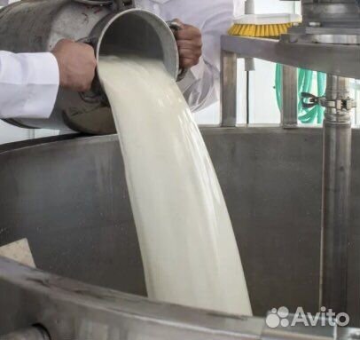 Молоко коровье оптом