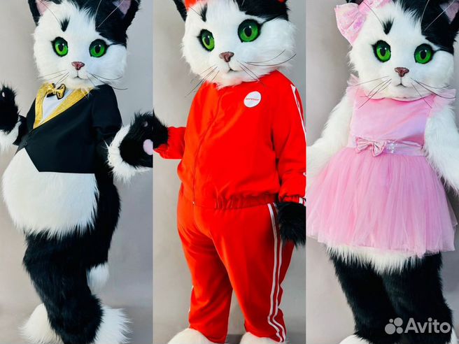 Новогодние костюмы для котов и кошек (подборка 12 милых фото) | Животные | Дзен