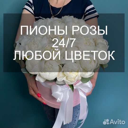 Пионы цветы с доставкой от производителя 24 7