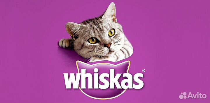 Упаковщики/Без опыта/Еженедельные выплаты