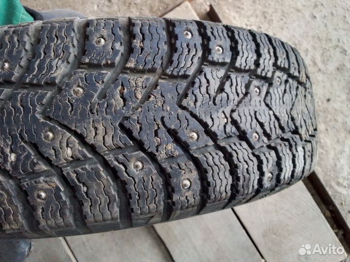 Accelera Accelera Summer 17.5/65 R14 70H