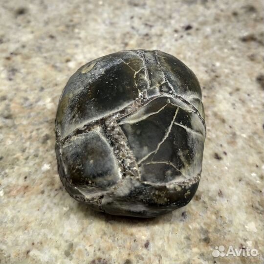 Септария природный камень