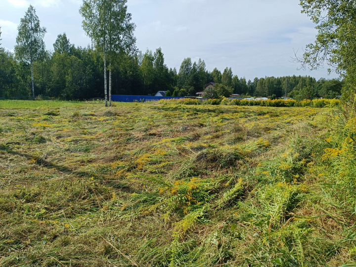 Участок 15 сот. (СНТ, ДНП)