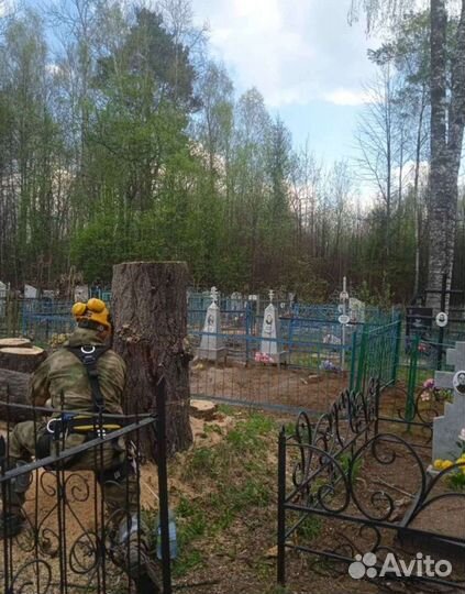 Опиловка деревьев