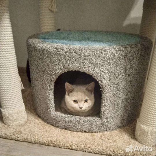 Домик игровой комплекс для кошек