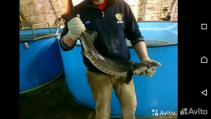 Бассейны для рыб (узв)