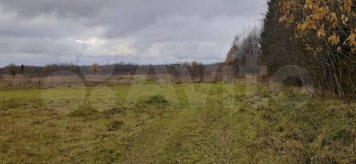 Участок 8,22 га (ИЖС)