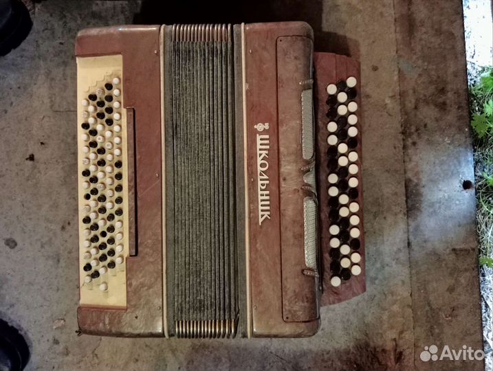 Баяны