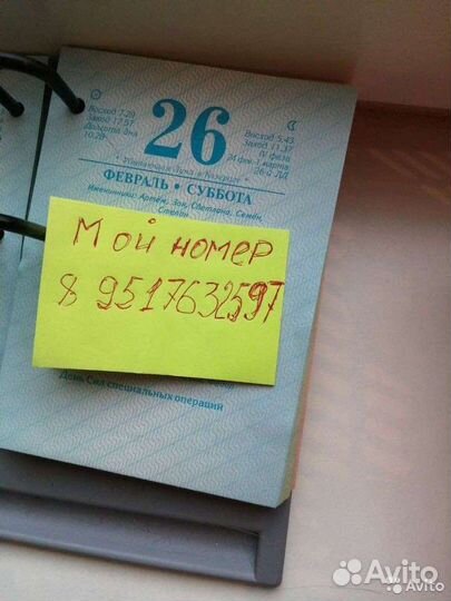 Услуги садовника