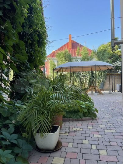 Комната 25 м², 1/2 эт.