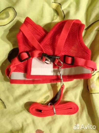 Шлейка для собаки средних и больших породы