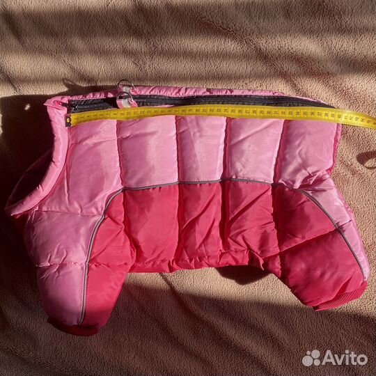 Зимние комбинезоны француз/мопс