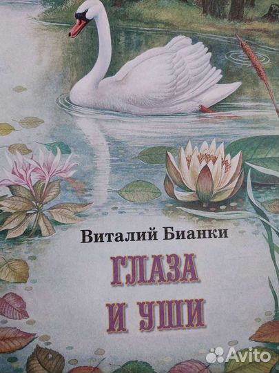 Сказки о родной природе