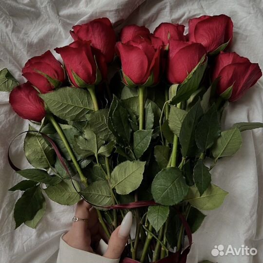 Букет 25 роз, 35, 51, 101