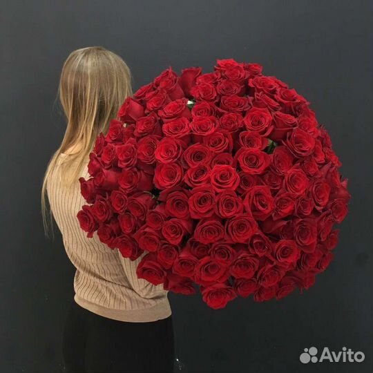 Роза букет 15/25/51/101