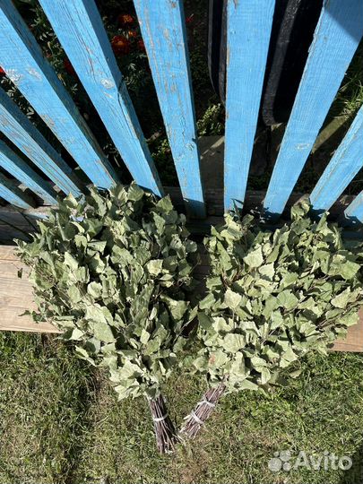 Березовые веники