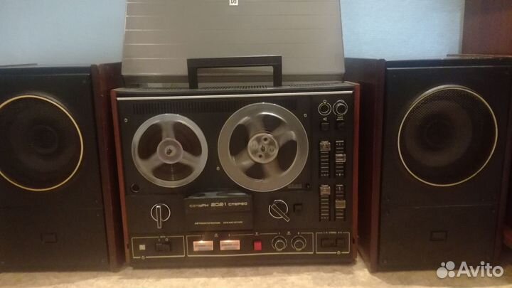 Акустика Сатурн 202-1 (фото 7,8)