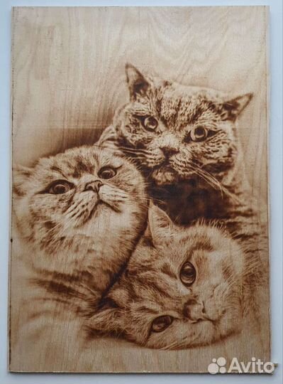 Изготовление портретов,выжигание по дереву